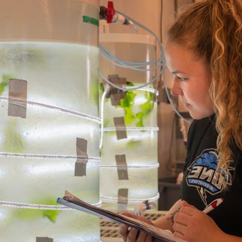 学生在实验室研究海莴苣